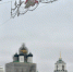 Полномасштабные работы по новогоднему украшению Пскова стартуют на следующей неделе - Pln-Pskov.Ru