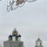 Новогодние украшения в Пскове - InformPskov.Ru