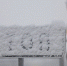 Фото: ПАИ - InformPskov.Ru