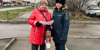 Сотрудники ОНДиПР провели профилактический рейд в   Великих   Луках - МЧС Псковской области
