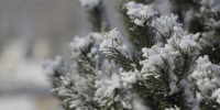 Фото: ПАИ - InformPskov.Ru