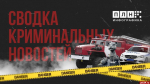 Сводка криминальных новостей. ИНФОГРАФИКА