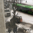 Фотофакт: Обрезку деревьев производят на Рижском проспекте в Пскове - Pln-Pskov.Ru