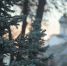 Фото: ПАИ - InformPskov.Ru