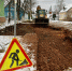 Фото со страницы Валерия Зайцева в соцсети «ВКонтакте» - InformPskov.Ru