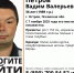 Фото: поисковый отряд «ЛизаАлерт» в соцсети «ВКонтакте» - InformPskov.Ru