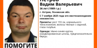 Фото: поисковый отряд «ЛизаАлерт» в соцсети «ВКонтакте» - InformPskov.Ru