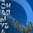 Информация для граждан по незаконной вырубке в предверии новогодних праздников - Министерство природных ресурсов и экологии