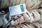 Более 30 тысяч тонн животноводческой продукции экспортировали из Псковской области
