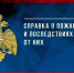Справка о пожарах и последствиях от них за 11 месяцев 2025 года - МЧС Псковской области