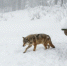 Фото: ПАИ - InformPskov.Ru