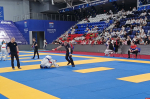 15 медалей завоевала сборная Псковской области в Чемпионате и Первенстве СЗФО России по рукопашному бою