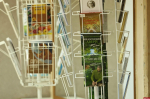 Православная книжная выставка-форум «Радость Слова» открылась в Пскове