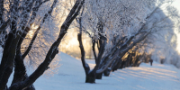 Фото: ПАИ - InformPskov.Ru