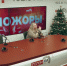 «Хайпожоры»: В Госуслуги только с Max, блокировка Roblox и FaceTime — всё. ВИДЕО - Pln-Pskov.Ru