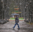Фото: ПАИ - InformPskov.Ru