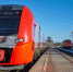 Фото: ПАИ - InformPskov.Ru