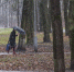 Фото: ПАИ - InformPskov.Ru