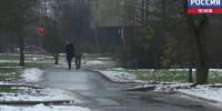 Теплая и сырая погода вернулась в Псковскую область - ГТРК Псков