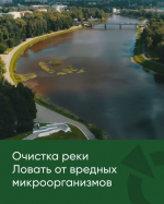 Псковское «Яблоко» внесло 50 предложений по нуждам 11 муниципалитетов в региональный бюджет