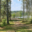 Фото: ПАИ - InformPskov.Ru