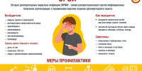 Изображение из официального Telegram-канала ФБУЗ «Центр гигиенического образования населения» Роспотребнадзора - InformPskov.Ru
