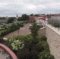 Фото: ПАИ - InformPskov.Ru