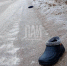 Фото: ПАИ - InformPskov.Ru