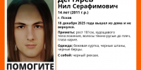 Фото: «ЛизаАлерт» - InformPskov.Ru