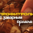 «Лёгкая кухня»: Профитроли с заварным кремом  - Pln-Pskov.Ru