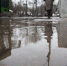Фото: ПАИ - InformPskov.Ru