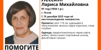 Фото: поисковый отряд «ЛизаАлерт» - InformPskov.Ru