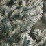 Фото: ПАИ - InformPskov.Ru