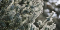 Фото: ПАИ - InformPskov.Ru