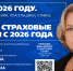 Иллюстрация: ПАИ - InformPskov.Ru