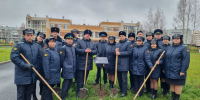 Памятная аллея к 160-летию института судебных приставов России - УФССП