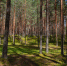Фото: ПАИ - InformPskov.Ru