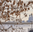 Фото: ПАИ - InformPskov.Ru