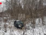 Автомобиль опрокинулся в кювет в Дедовичском районе