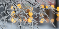 Фото: ПАИ - InformPskov.Ru