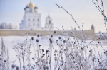 Фото: Дарья Хваткова / ПАИ