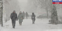 Настоящая зима придет в Псковскую область в новогоднюю ночь - ГТРК Псков