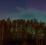 Фото: Пётр Митрофанов - InformPskov.Ru