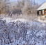 Фото: ПАИ - InformPskov.Ru