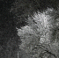Фото: ПАИ - InformPskov.Ru