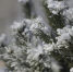Фото: ПАИ - InformPskov.Ru