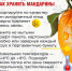 Как выбрать мандарины - InformPskov.Ru