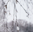Фото: ПАИ - InformPskov.Ru