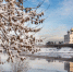 Фото: ПАИ - InformPskov.Ru