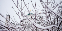 Фото: ПАИ - InformPskov.Ru